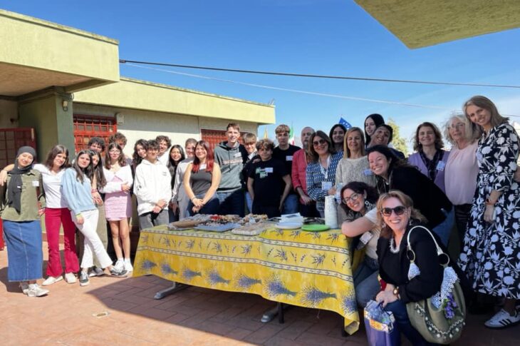 erasmus 7